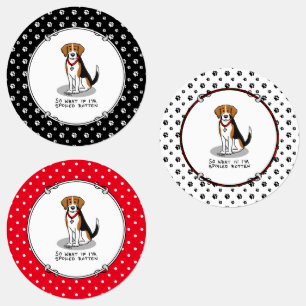 Spoiled Rotten Beagle (Trikolon 3) Hund Funny Etiketten