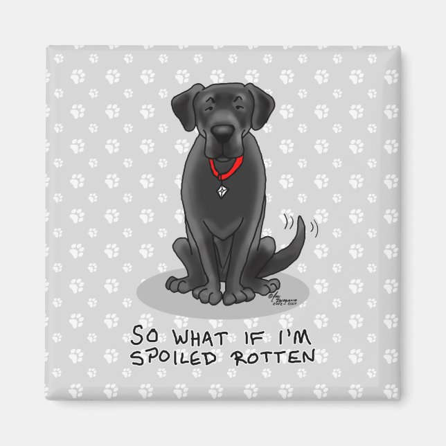 Spoiled Rotten Black Lab Labrador Retriever Dog Magnet (Vorne)
