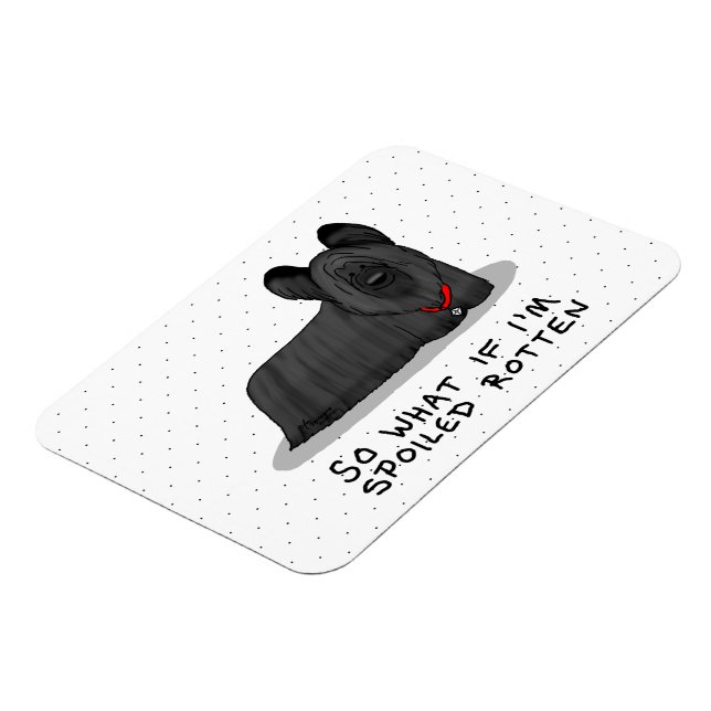 Spoiled Rotten Skye Terrier Dog (schwarz) Niedlich Magnet (Linke Seite)