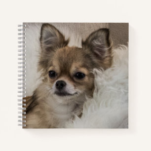 Spoilt Chihuahua Relaxen Notizbuch