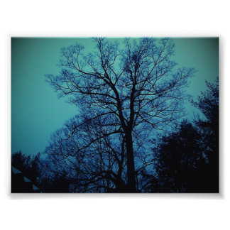 Spook Tree Print Fotodruck