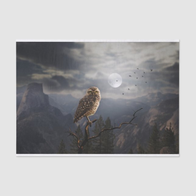 Spookes Owl und Full Moon Halloween Seidenpapier (Vorderseite)