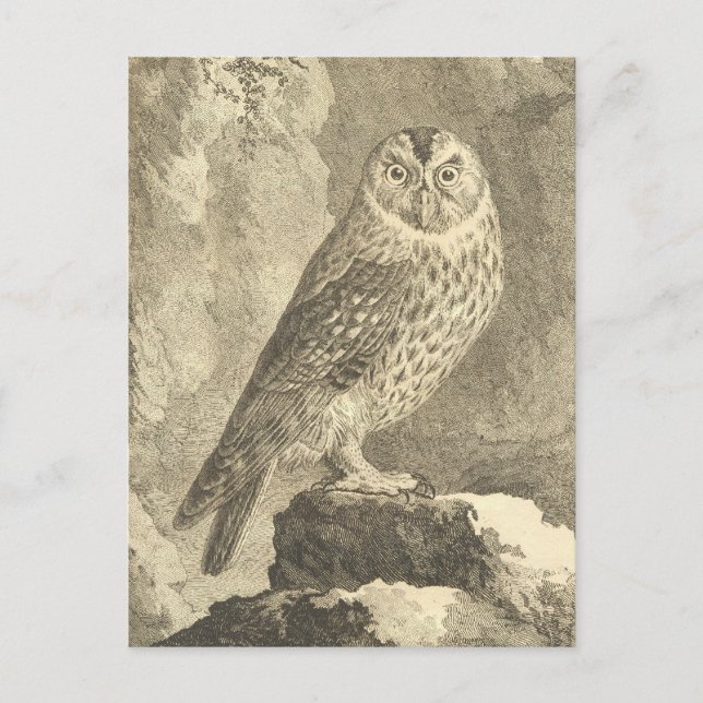 Spookokes Vintages Halloween Tawny Owl Postkarte (Vorderseite)