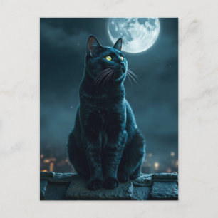 Spooky Black Cat Halloween Wallpaper - 2025 Nacht! Feiertagspostkarte