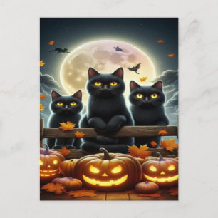 Spooky Black Cat Halloween Wallpaper - 2025 Nacht! Feiertagspostkarte