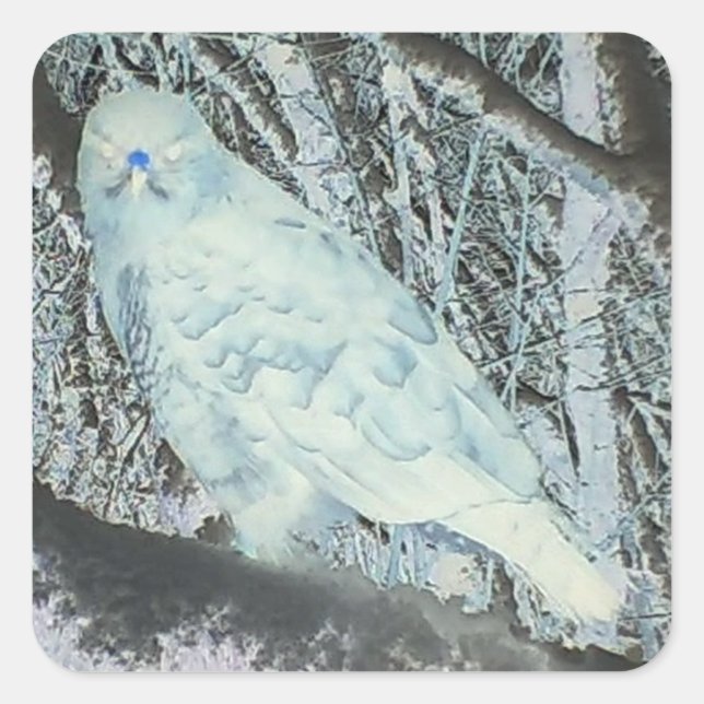 Spooky Buzzard auf Zweig Quadratischer Aufkleber (Vorderseite)