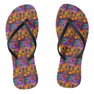 Spooky Cairn Terrier Dog Halloween Hexenkürbis Flip Flops