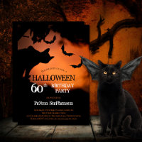 Spooky Cat | Fleet Halloween 60. Geburtstagsparty