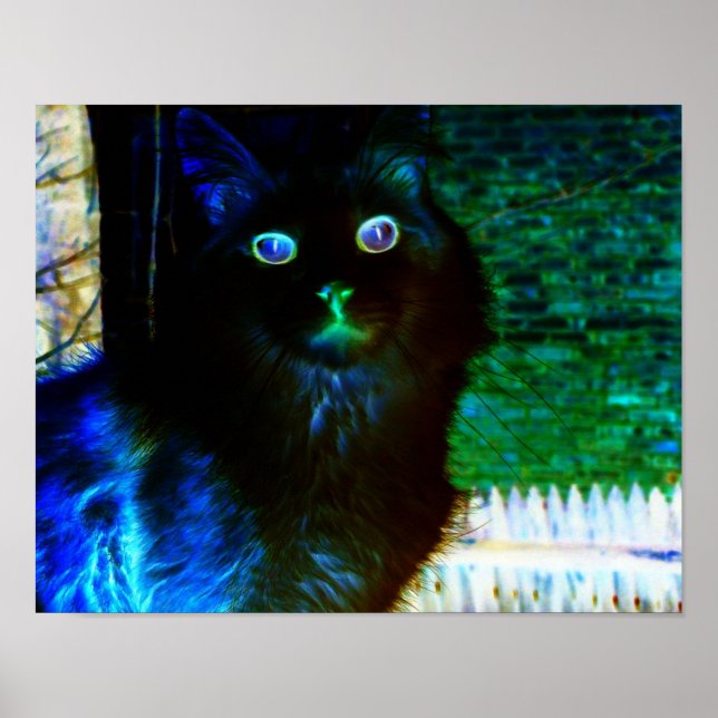 Spooky Cat Poster (Vorne)