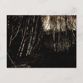 Spooky Dunkelwald Postkarte