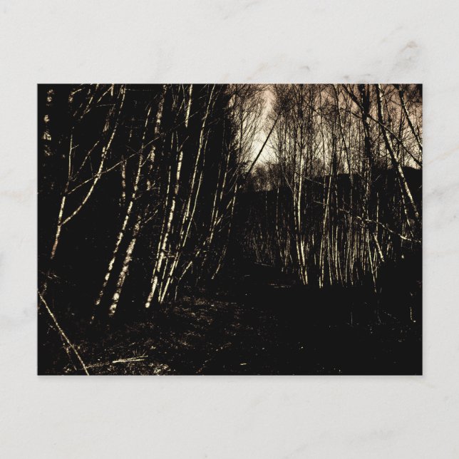 Spooky Dunkelwald Postkarte (Vorderseite)