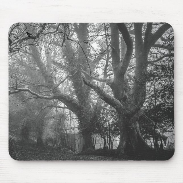 Spooky Forest Black and White Fotografy Mousepad (Vorne)