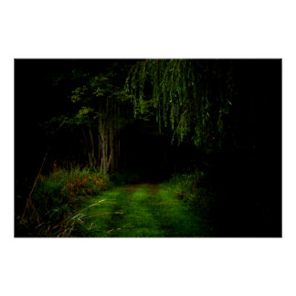 Spooky Forest Poster