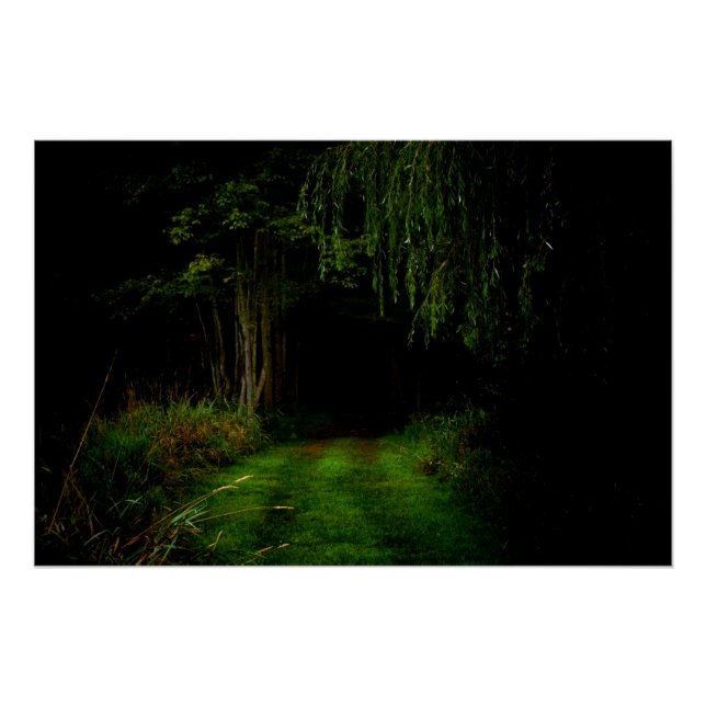 Spooky Forest Poster (Vorderseite)