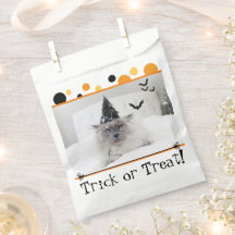 Spooky Halloween Cat in Hexenhutenheber