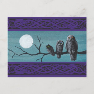 Spooky Halloween Owls Postkarte