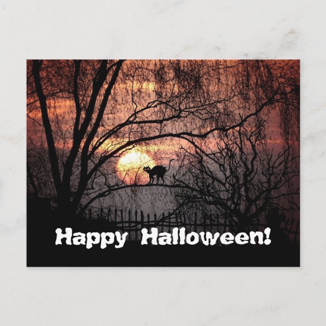 Spooky Halloween Postkarte (Vorderseite)