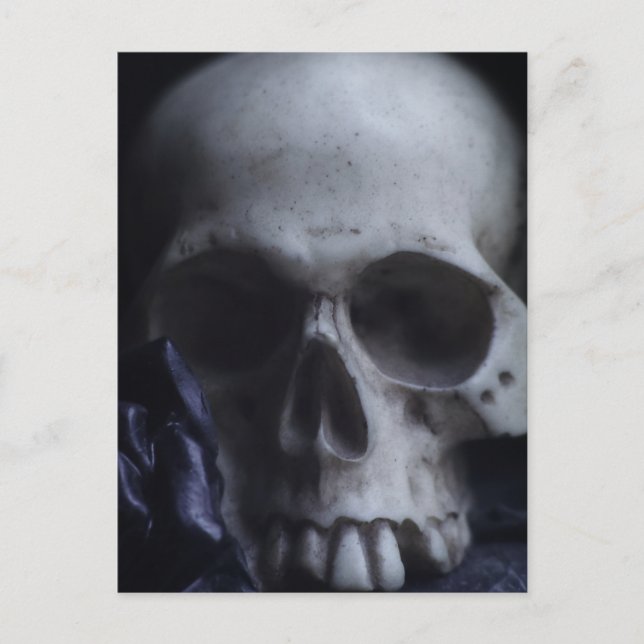 Spooky Human Skull Grim Schwarz-weiße Fotografie Postkarte (Vorderseite)