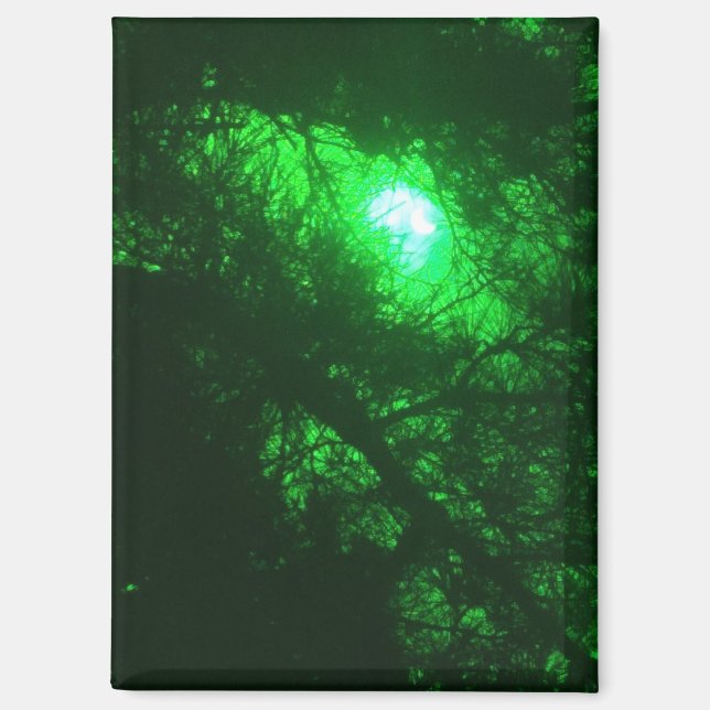 Spooky Midnight Forest Magnet (Vorderseite)