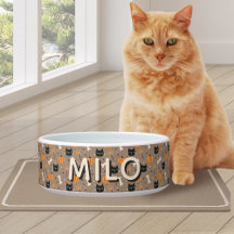 Spooky Niedliches Halloween Pumpkin & Black Cat