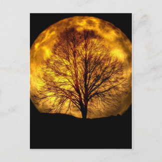 Spooky Night Moon Baum Autumn Schicksal Geschenke Postkarte