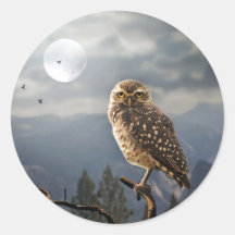 Spooky Owl Moon Graphic