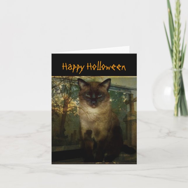 Spooky Siamese Cat Halloween Grußkarte Karte (Vorderseite)