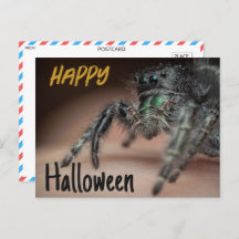 Spooky Spider Halloween Gruß