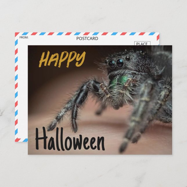 Spooky Spider Halloween Gruß Postkarte (Vorne/Hinten)