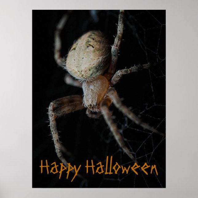 Spooky Spider Web - Halloween Poster (Vorne)