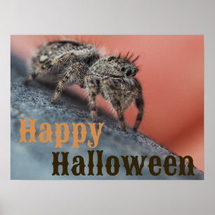 Spooky Spione Halloween Poster