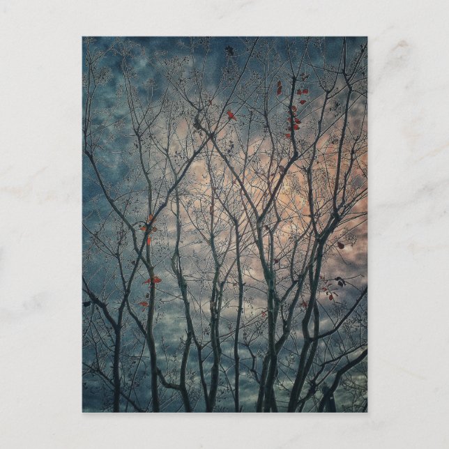 Spooky Trees Postkarte (Vorderseite)