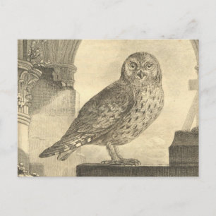 Spooky Vintag Halloween Owl Postkarte