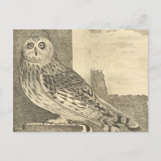 Spooky Vintag Halloween Owl Postkarte (Vorderseite)