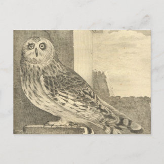 Spooky Vintag Halloween Owl Postkarte