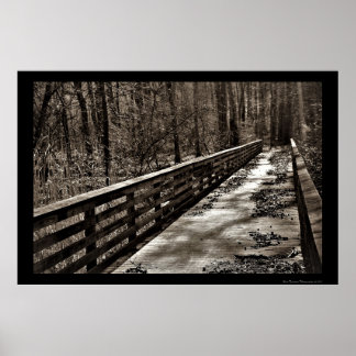 Spooky Walking Bridge Poster