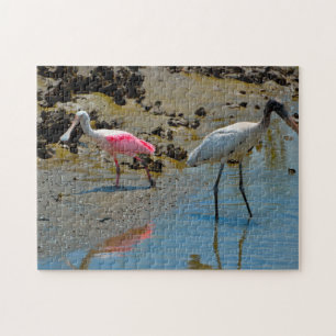 Spoon Bill Wood Stork Florida Puzzle