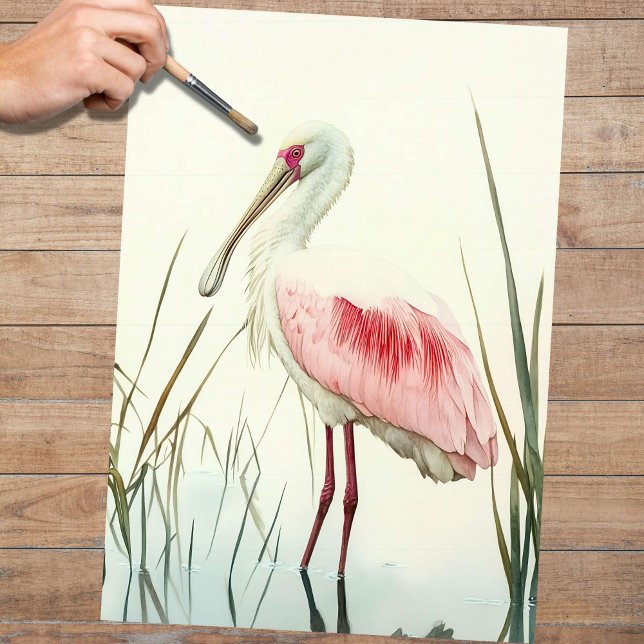 Spoonbill 2 Decoupage Seidenpapier (Von Creator hochgeladen)