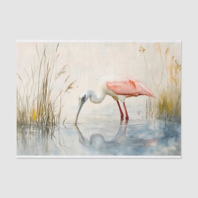 Spoonbill 6 Dekoupage Seidenpapier (Vorderseite)