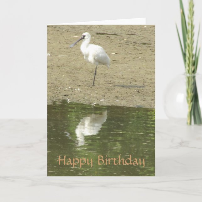 Spoonbill Birthday Card Karte (Vorderseite)