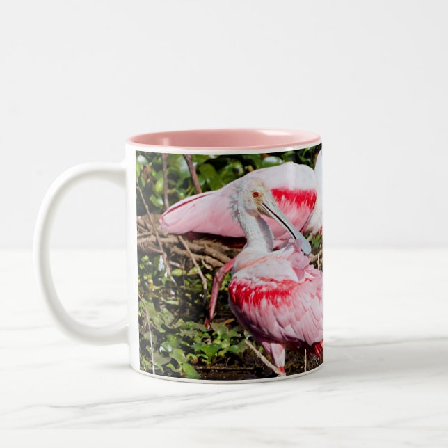 Spoonbill-Heiligtum: Verborgene Tasse (Links)