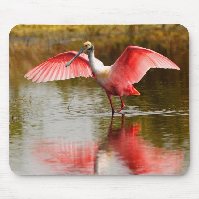 Spoonbill Mousepad (Vorne)