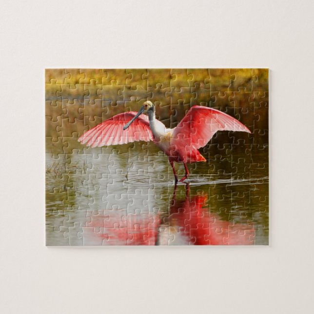 Spoonbill Puzzle (Horizontal)