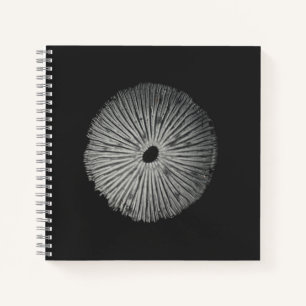 Spore Print Note Card Notizbuch