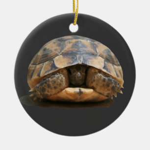 Spornschildkröte zurückziehend keramik ornament