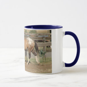 sportaloosa Stallion Bradford Tasse
