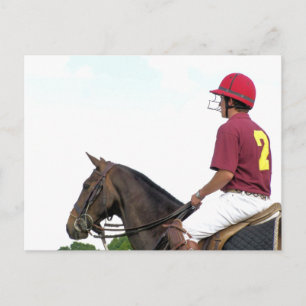 SPORTPFERDE POSTKARTE