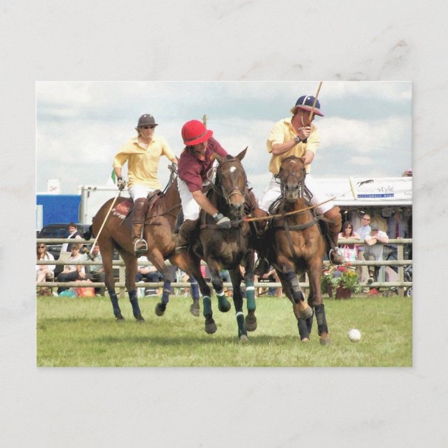 SPORTPFERDE POSTKARTE (Vorderseite)