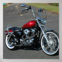 Sportster 2004
