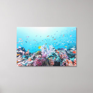 Sporttauchen mit buntem Riff und Koralle Leinwanddruck
